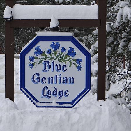 Blue Gentian Lodge At Magic Mountain Londonderry Esterno foto