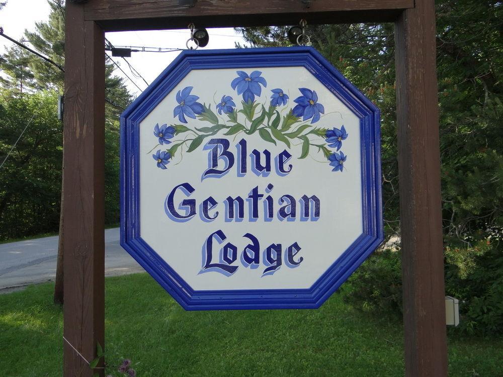 Blue Gentian Lodge At Magic Mountain Londonderry Esterno foto