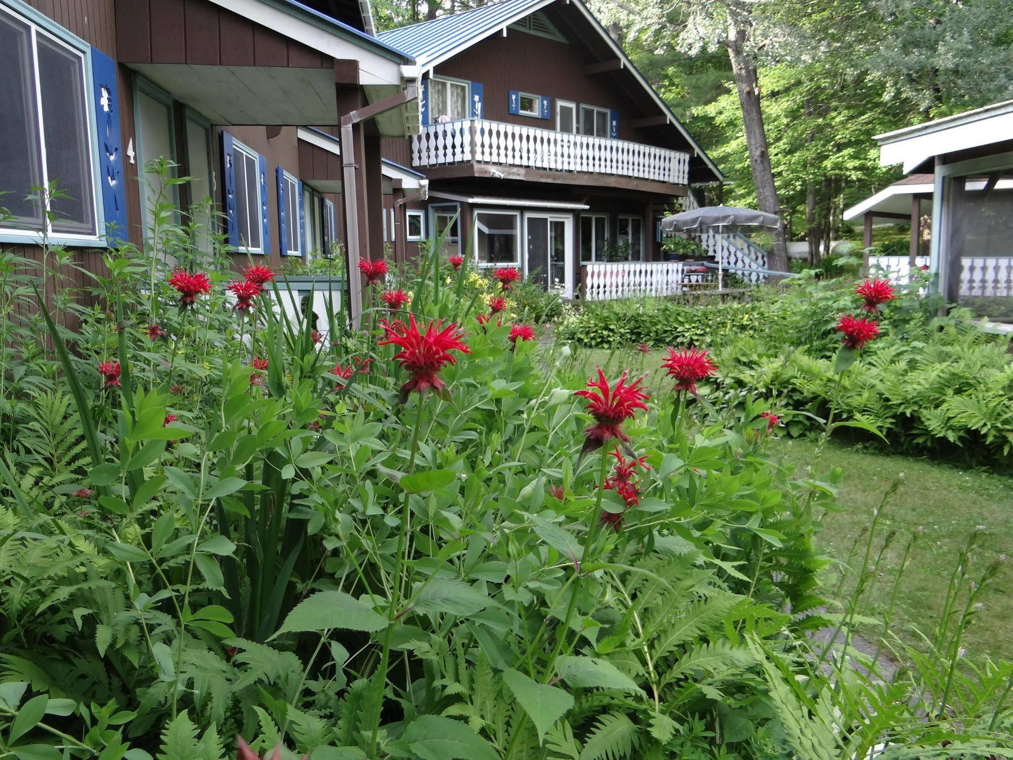Blue Gentian Lodge At Magic Mountain Londonderry Esterno foto